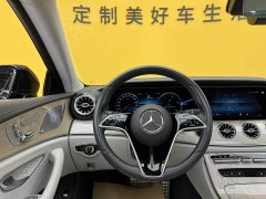 Mercedes-Benz CLS 300 Luxury - ფოტო 12