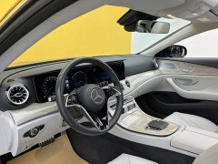 Mercedes-Benz CLS 300 Luxury - ფოტო 14