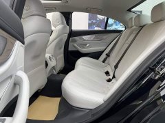 Mercedes-Benz CLS 300 Luxury - ფოტო 16