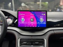 BYD Song Plus 2020 1.5T Automatic Luxury - ფოტო 12