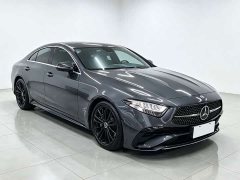 Mercedes-Benz CLS 300 Dynamic - ფოტო 5