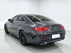 Mercedes-Benz CLS 300 Dynamic - ფოტო 6