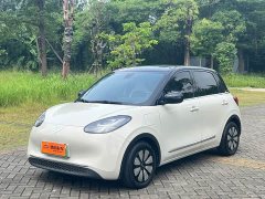 Wuling Binguo 410km Lingxi Premium Edition - ფოტო 1
