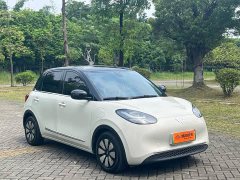 Wuling Binguo 410km Lingxi Premium Edition - ფოტო 3