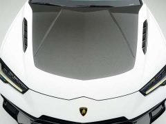 Lamborghini Urus 2022 4.0T V8 Performante - ფოტო 13