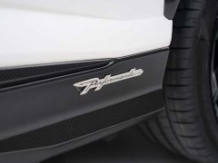Lamborghini Urus 2022 4.0T V8 Performante - ფოტო 15