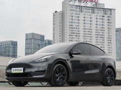 Tesla Model Y Rear-Wheel Drive - ფოტო 1