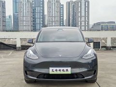 Tesla Model Y Rear-Wheel Drive - ფოტო 2