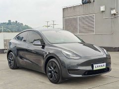 Tesla Model Y Rear-Wheel Drive - ფოტო 3