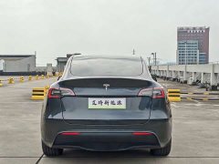 Tesla Model Y Rear-Wheel Drive - ფოტო 5