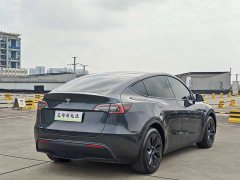 Tesla Model Y Rear-Wheel Drive - ფოტო 6