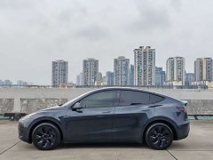 Tesla Model Y Rear-Wheel Drive - ფოტო 7