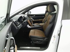 BYD Yuan Plus DM-i 2021 112KM Premium Edition - ფოტო 10