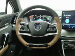 BYD Yuan Plus DM-i 2021 112KM Premium Edition - ფოტო 11