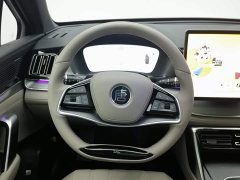 BYD Tang New Energy DM-i 115KM Premium Edition - ფოტო 11