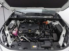 Toyota Wildland New Energy Wildtrak New Energy High Performance 2.5L Two-Wheel Drive Dynamic Edition - фото 6