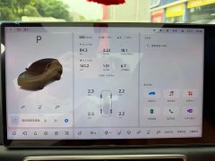 Li Auto L8 Pro - ფოტო 11