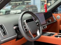 Li Auto L8 Pro - ფოტო 8