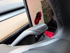 Tesla Model 3 Standard Range RWD Upgrade - ფოტო 19