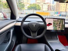Tesla Model 3 Standard Range RWD Upgrade - ფოტო 20