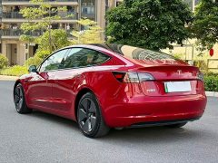 Tesla Model 3 Standard Range RWD Upgrade - ფოტო 6