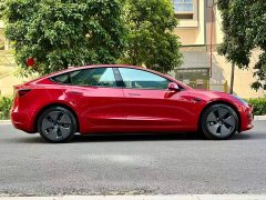 Tesla Model 3 Standard Range RWD Upgrade - ფოტო 8