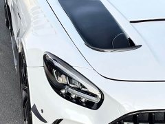 Mercedes-Benz AMG GT 2019 AMG GT - ფოტო 13