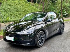 Tesla Model Y Long Range All-Wheel Drive - ფოტო 1