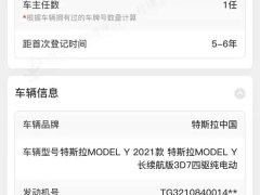 Tesla Model Y Long Range All-Wheel Drive - ფოტო 11