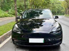 Tesla Model Y Long Range All-Wheel Drive - ფოტო 2