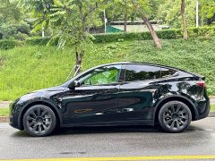 Tesla Model Y Long Range All-Wheel Drive - ფოტო 3
