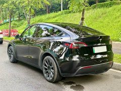 Tesla Model Y Long Range All-Wheel Drive - ფოტო 8