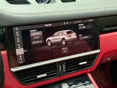 Porsche 2018 Cayenne 3.0T - ფოტო 13