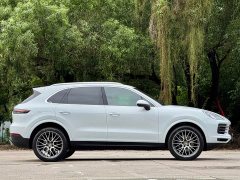 Porsche 2018 Cayenne 3.0T - ფოტო 19