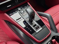 Porsche 2018 Cayenne 3.0T - ფოტო 8