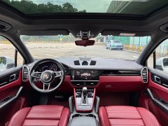 Porsche 2018 Cayenne 3.0T - ფოტო 9
