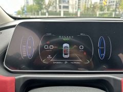 ORA Good Cat GT Mulan Edition 401km Luxury - ფოტო 20