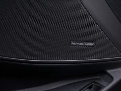 BMW 3 Series 330Li Luxury M Sport Night Edition Package - ფოტო 13