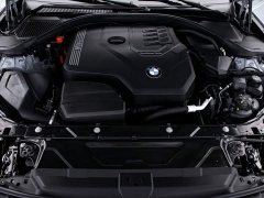 BMW 3 Series 330Li Luxury M Sport Night Edition Package - ფოტო 19