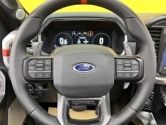 Ford F-150 Raptor 3.5T Raptor - ფოტო 16