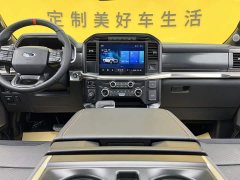 Ford F-150 Raptor 3.5T Raptor - ფოტო 16