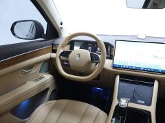 AITO M7 1.5T Intelligent Driving RWD Max 5-Seater - ფოტო 14