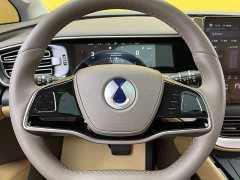 Denza D9 2022 DM-i 970 AWD Flagship - ფოტო 16