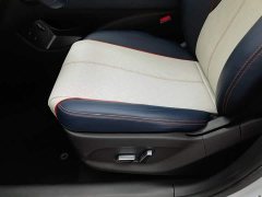 BYD Yuan Plus 2022 430KM Luxury - ფოტო 20