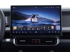 Jetour Jietu Traveler 2023 2.0T AWD Conquest - ფოტო 13