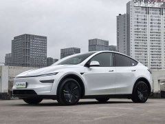 Tesla Model Y Rear-Wheel Drive - ფოტო 1