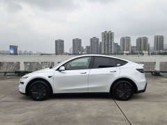 Tesla Model Y Rear-Wheel Drive - ფოტო 5