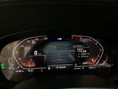 BMW 5 Series Facelift 530Li Premier M Sport Package - ფოტო 10