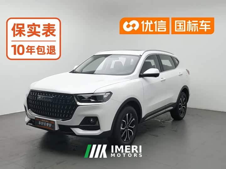 Haval H6 2023 National Trend Edition 1.5T Automatic Urban Version - ავტომობილი ჩინეთიდან
