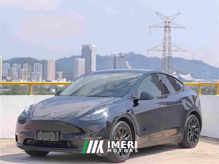 Tesla Model Y Standard Range RWD - ავტომობილი ჩინეთიდან